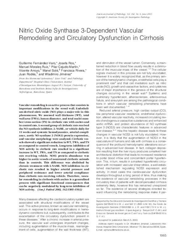 (PDF) Nitric Oxide Synthase 3Dependent Vascular Remodeling and