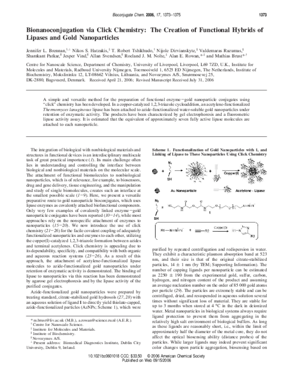 (PDF) Bionanoconjugation via Click Chemistry: The Creation of ...