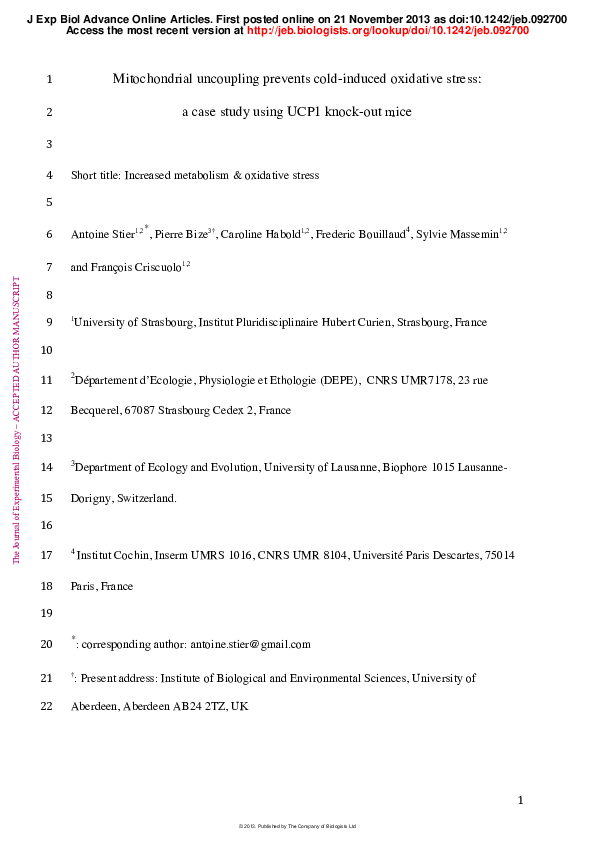 Mito case study essay 03 picture