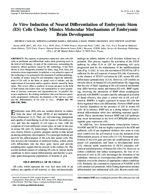 (PDF) In Vitro Induction of Neural Differentiation of Embryonic Stem ...