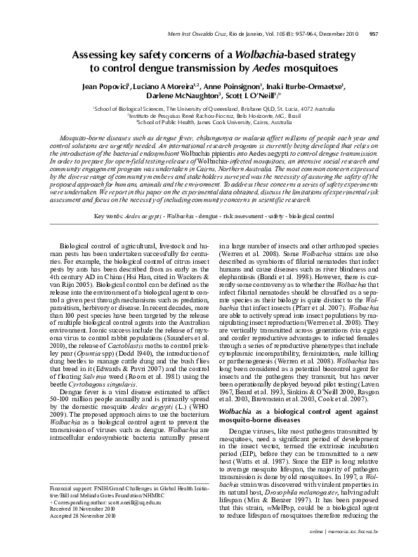 Aedes mosquito causes image