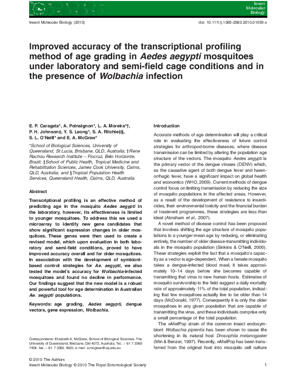 Aedes aegypti mosquito facts picture