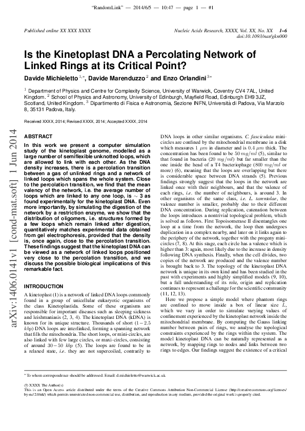 (PDF) Is the kinetoplast DNA a percolating network of linked rings at ...