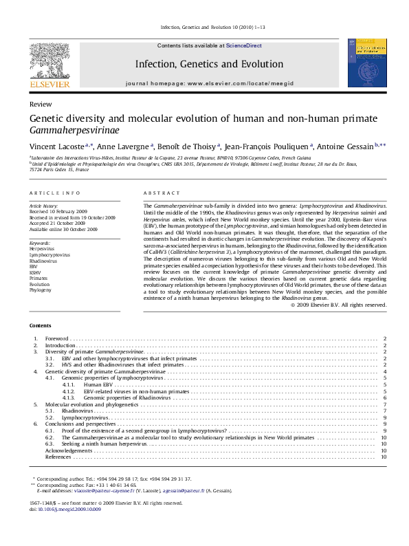 (PDF) Genetic diversity and molecular evolution of human and non-human ...