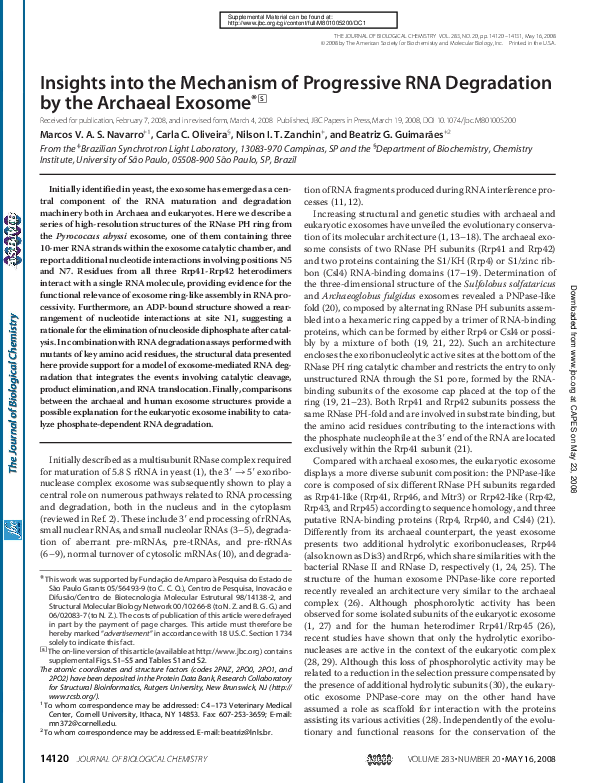 (PDF) Insights into the Mechanism of Progressive RNA Degradation by the ...