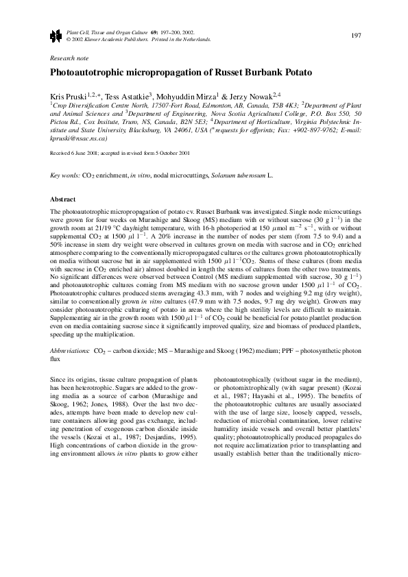 Thesis on micropropagation 08 picture