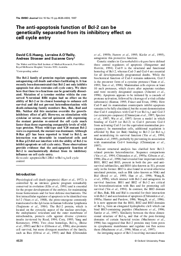 (PDF) The anti-apoptosis function of Bcl-2 can be genetically separated ...