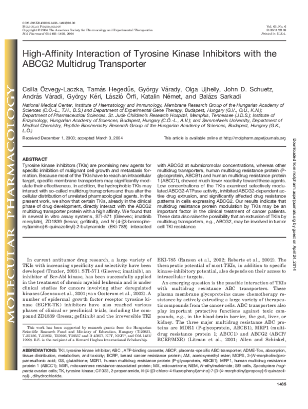 (PDF) High-Affinity Interaction of Tyrosine Kinase Inhibitors with the ...