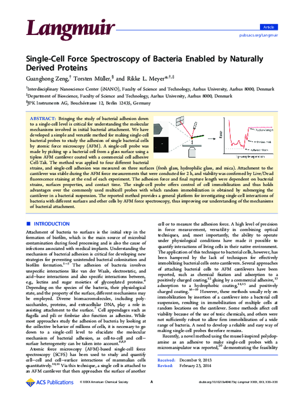 (PDF) Single-Cell Force Spectroscopy of Bacteria Enabled by Naturally ...