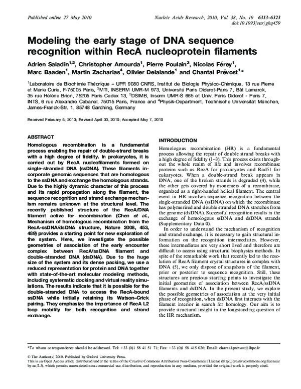 (PDF) Modeling the early stage of DNA sequence recognition within RecA ...