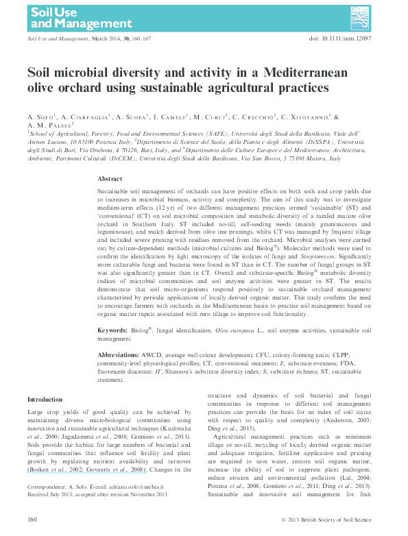 Soil diversity essay image