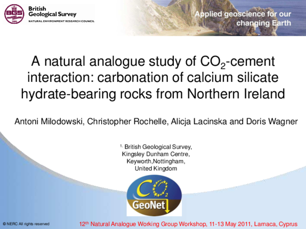 (PDF) A natural analogue study of CO2 -cement interaction: Carbonation ...