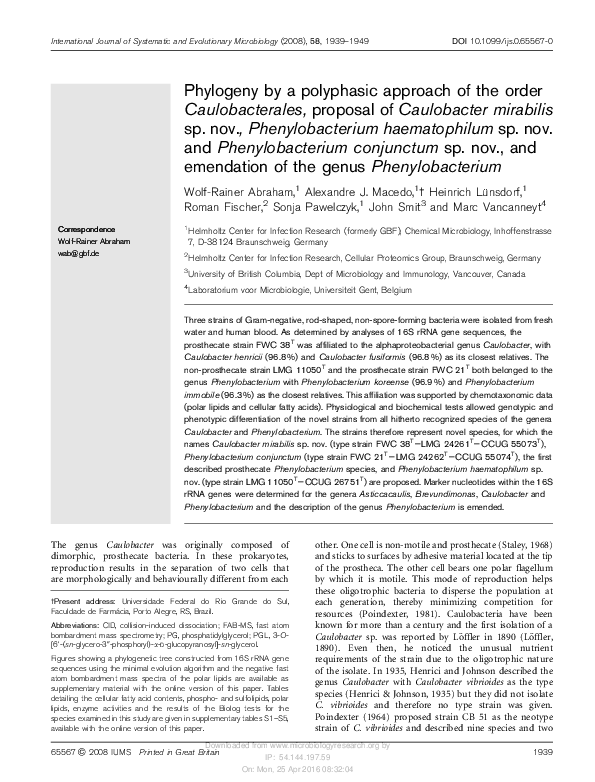 (PDF) Phylogeny by a polyphasic approach of the order Caulobacterales ...