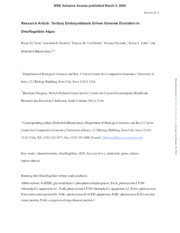 Dinoflagellate algae essay image