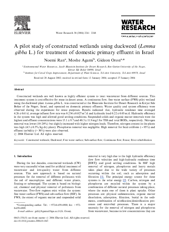 Duckweed essays 07 picture