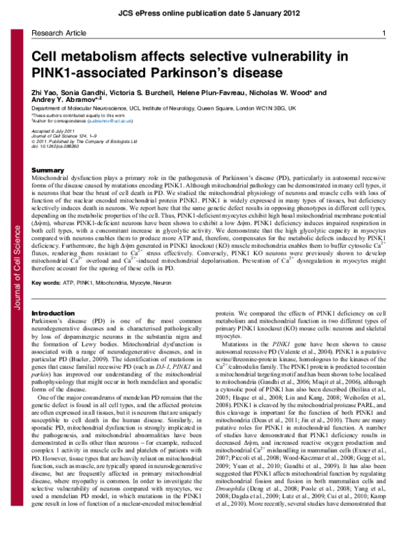 Cancer cell metabolism picture