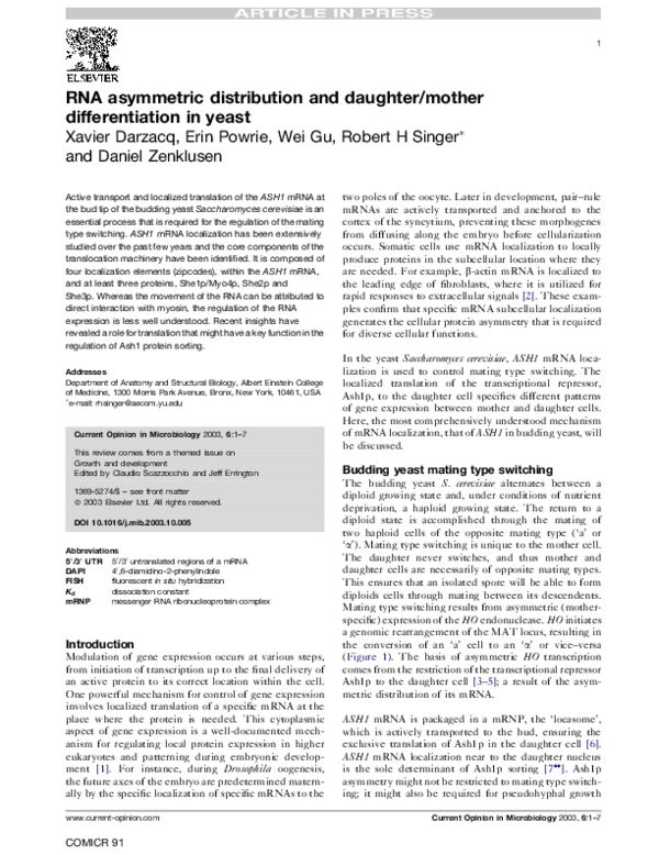 (PDF) RNA asymmetric distribution and daughter/mother differentiation ...