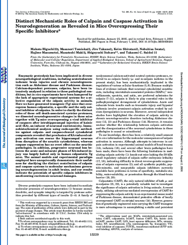 (PDF) Distinct Mechanistic Roles of Calpain and Caspase Activation in ...