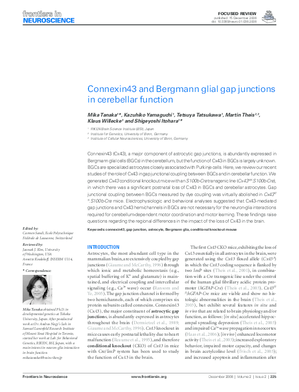 (PDF) Connexin43 and Bergmann glial gap junctions in cerebellar function