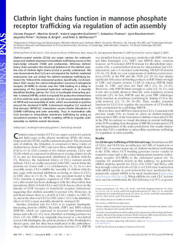 (PDF) Clathrin light chains function in mannose phosphate receptor ...