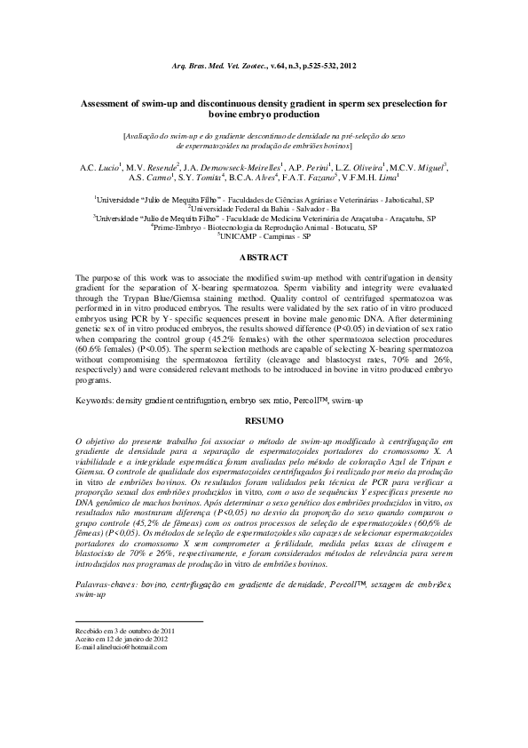 Gender preselection essay 06 image