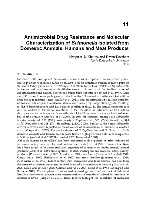 Salmonella essay introduction 08 picture