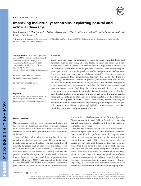 Essay on yeast 03 picture