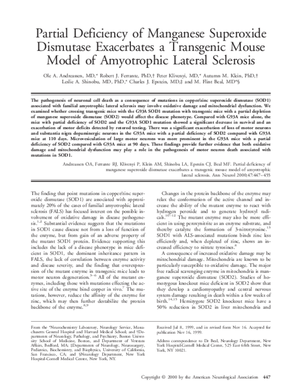 Leslie epstein neal ascherson essay 05 image