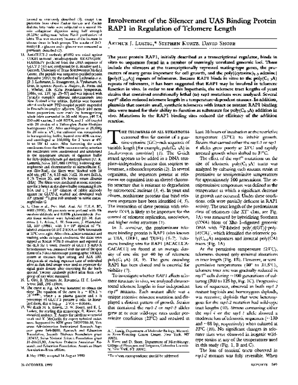 The silencer essays 08 image