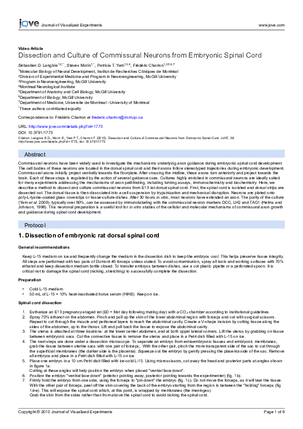 (PDF) Dissection and Culture of Commissural Neurons from Embryonic ...
