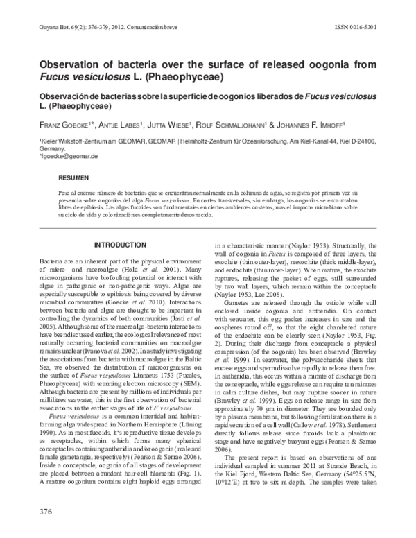 Factors contributing to re-emerging infectious diseases picture