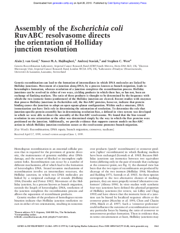 (PDF) Assembly of the Escherichia coli RuvABC resolvasome directs the ...
