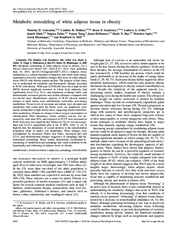 (PDF) Metabolic Remodeling of White Adipose Tissue in Obesity