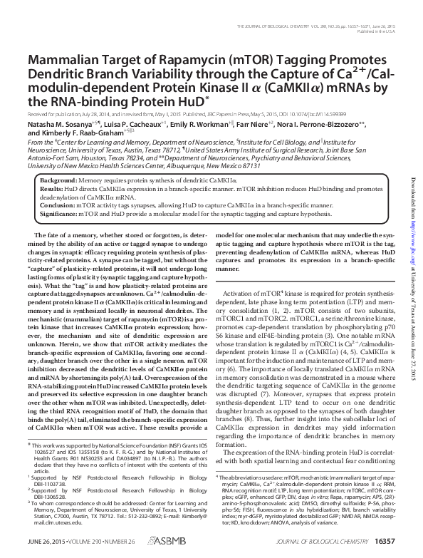 (PDF) Mammalian Target of Rapamycin (mTOR) Tagging Promotes Dendritic ...
