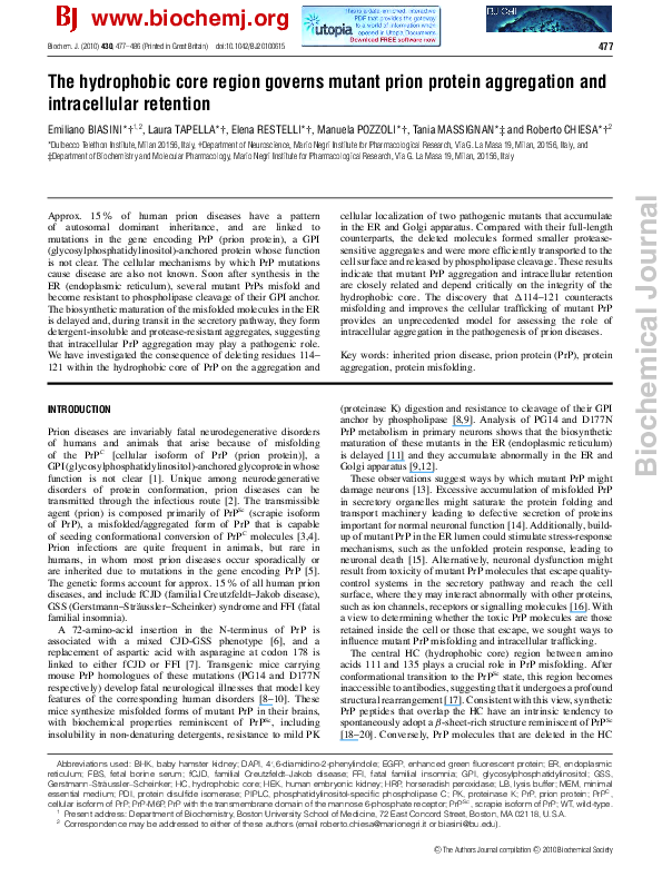 (PDF) The hydrophobic core region governs mutant prion protein aggregation and intracellular
