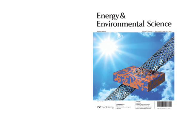 (PDF) Carbon nanotubes and organic solar cells