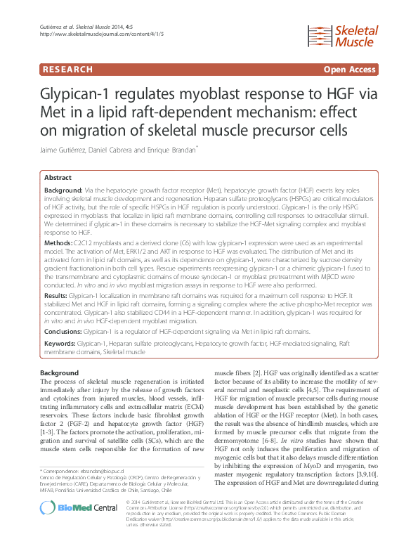 (PDF) Glypican-1 regulates myoblast response to HGF via Met in a lipid ...