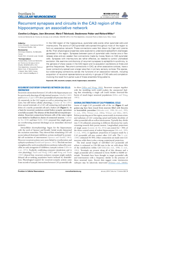 (PDF) Recurrent synapses and circuits in the CA3 region of the ...