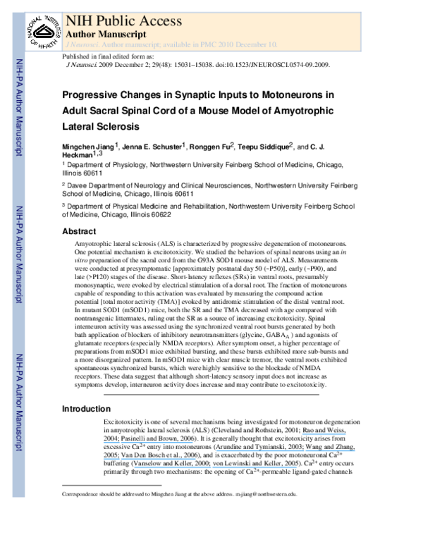 (PDF) Progressive Changes in Synaptic Inputs to Motoneurons in Adult ...