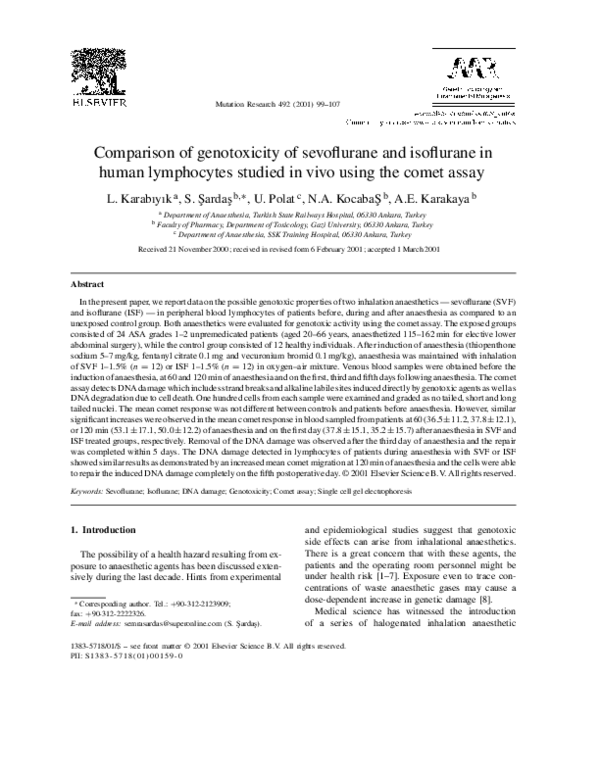 Human lymphocytes essay picture