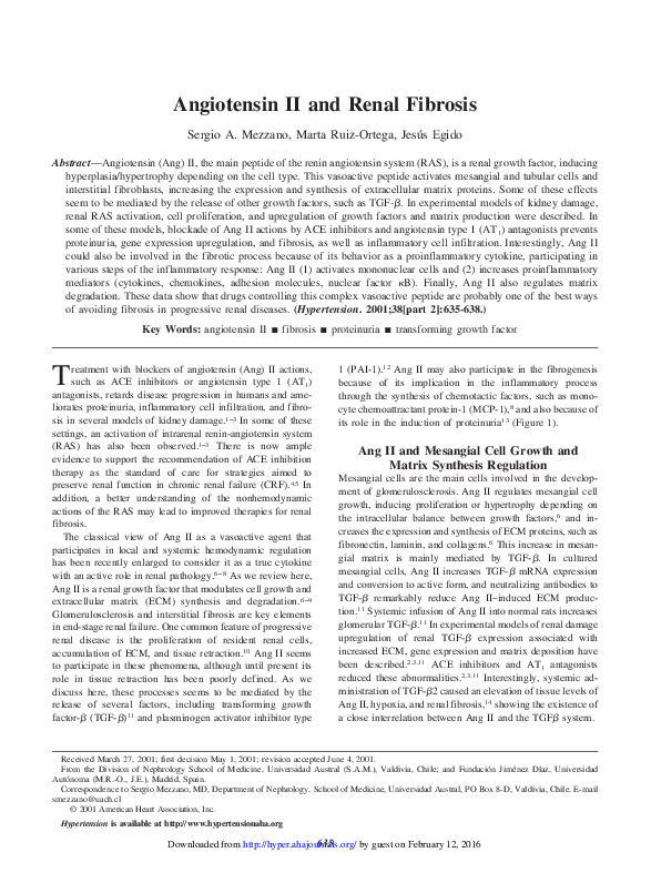 (PDF) Angiotensin II and Renal Fibrosis
