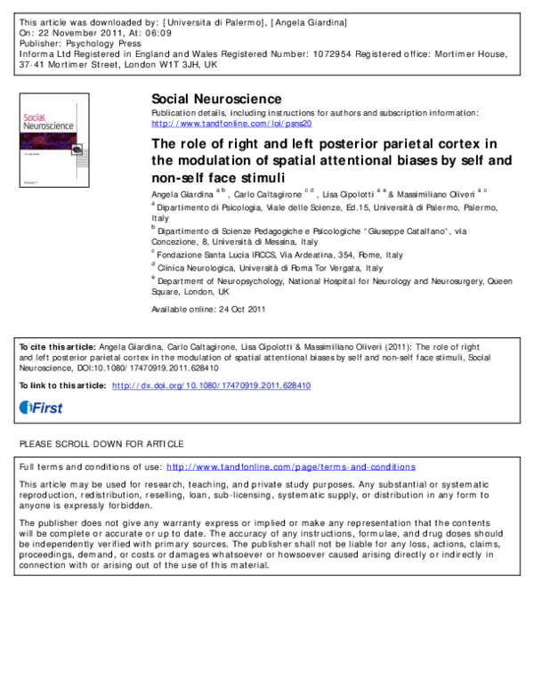 (PDF) The role of right and left posterior parietal cortex in the ...