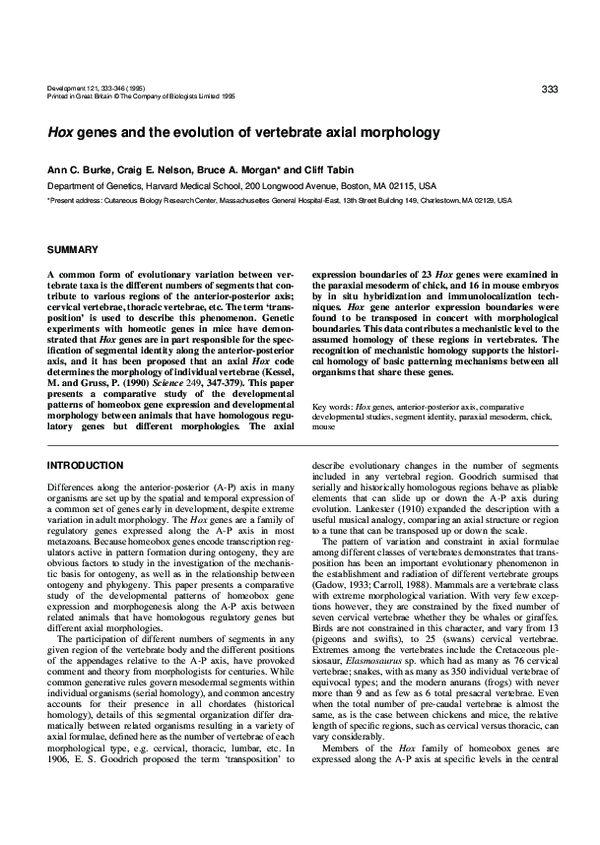 (PDF) Hox genes and the evolution of vertebrate axial morphology