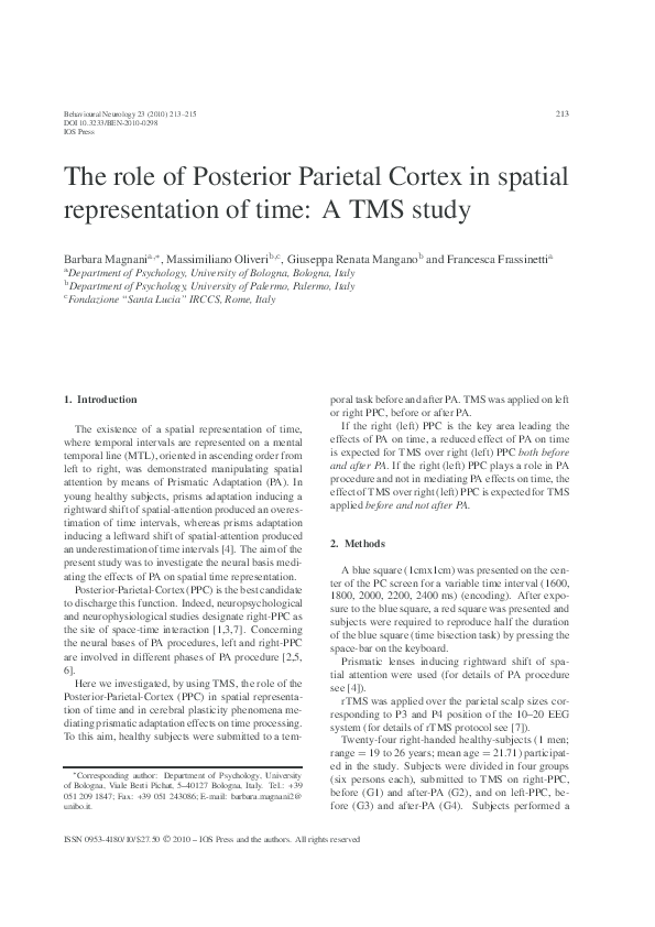 (PDF) The Role of Posterior Parietal Cortex in Spatial Representation ...
