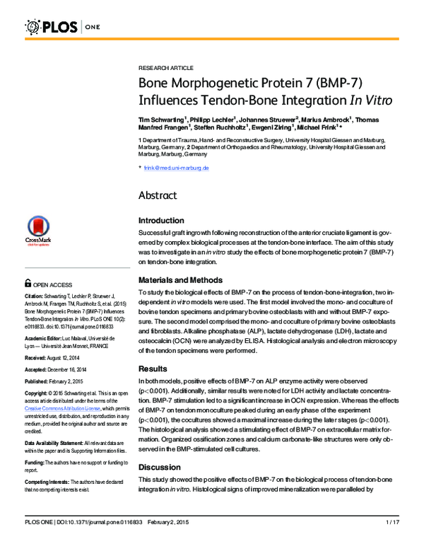 (PDF) Bone Morphogenetic Protein 7 (BMP-7) Influences Tendon-Bone ...