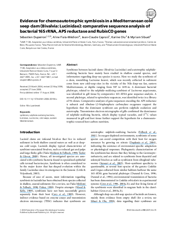 Cold seep essay image