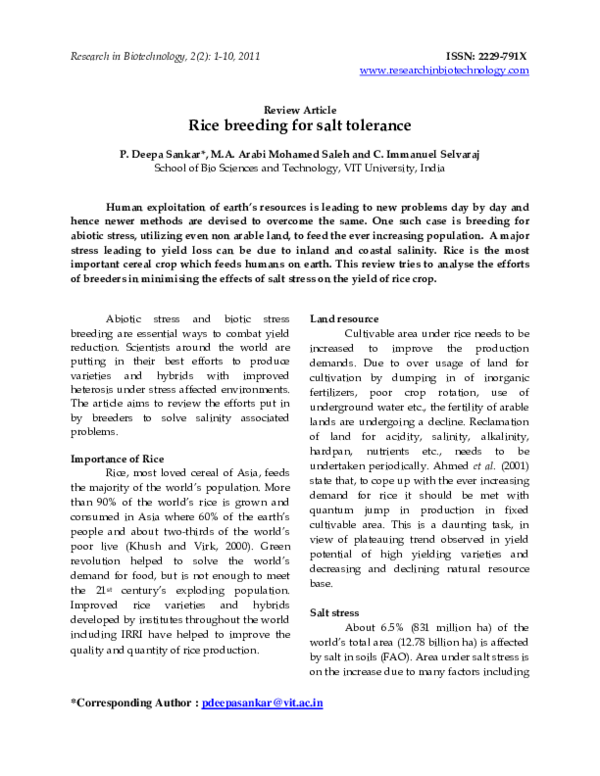 Pinus wallichiana zebrina salt tolerance image