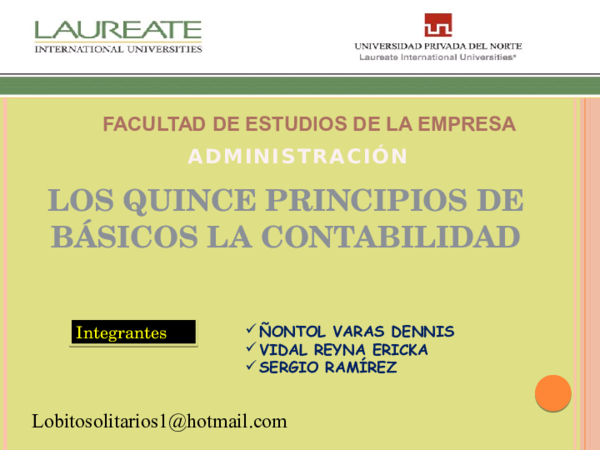 (PPT) Los 15 Principios de la Contabilidad