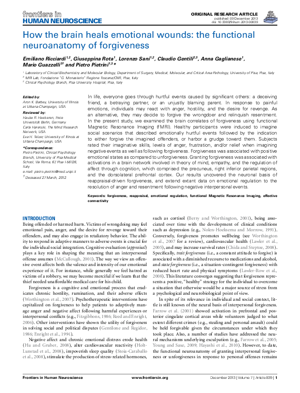 Neuroanatomy paper essay 08 picture