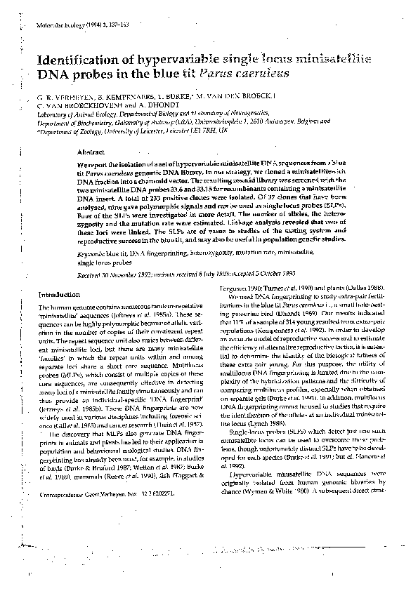 Chromosome probes essay 05 image